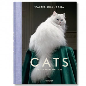 Ksika o kotach Walter Chandoha - Cats Photographs 1942-2018