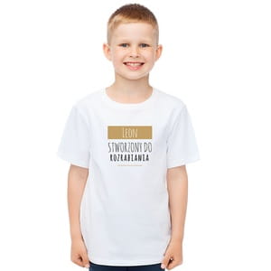 Koszulka dziecica z nadrukiem ROZRABIAKA prezent dla chopca