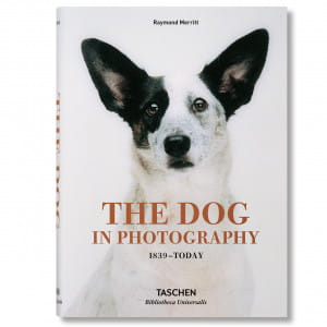 Ksika o psach - The Dog In Photography