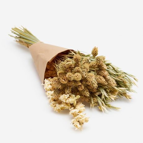 Bukiet z suszonych kwiat�w DELPHINIUM
