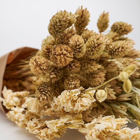 Bukiet z suszonych kwiat�w DELPHINIUM