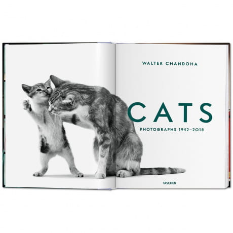 Książka o kotach Walter Chandoha - Cats Photographs 1942-2018