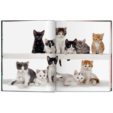 Książka o kotach Walter Chandoha - Cats Photographs 1942-2018