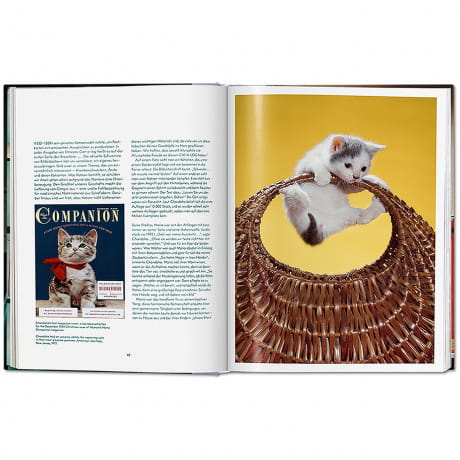 Ksika o kotach Walter Chandoha - Cats Photographs 1942-2018