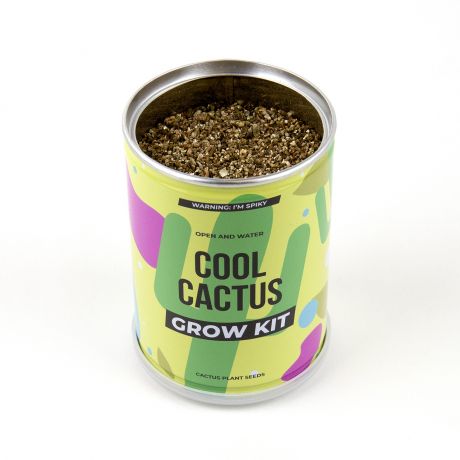 Nasiona kaktusa COOL CACTUS zestaw do uprawy kaktusa