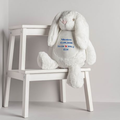 Personalizowany KR�LIK Z METRYCZK� prezent na narodziny ch�opca