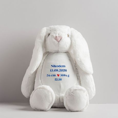 Personalizowany KR�LIK Z METRYCZK� prezent na narodziny ch�opca