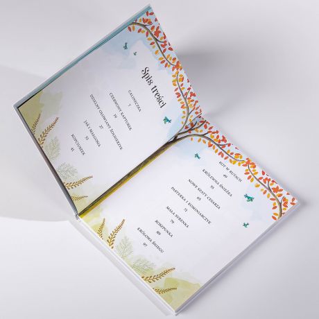 Personalizowana ksika dla chopca SAMYCH BANIOWYCH PRZYGD