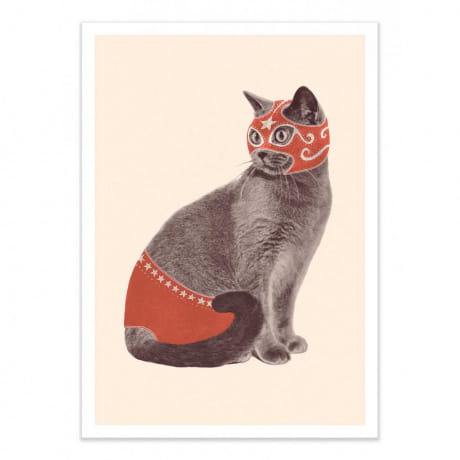 Plakat kot CHAT CATCHEUR Florent Bodart 50 x 70cm