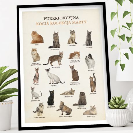 Plakat RASY KOTÓW prezent dla miłośniczki kotów