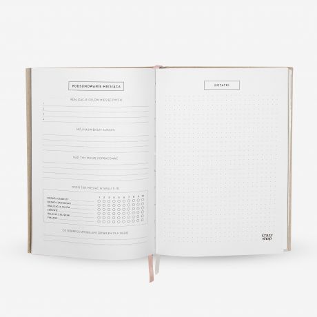 Planner DYSK ZEWNTRZNY prezent dla koleanki z pracy