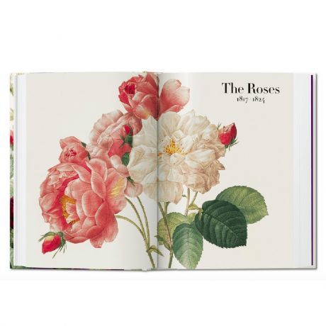 The Book Of Flowers PREZENT DLA ARTYSTKI MALARKI