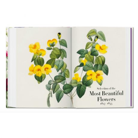 The Book Of Flowers PREZENT DLA ARTYSTKI MALARKI