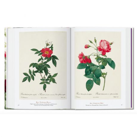 The Book Of Flowers PREZENT DLA ARTYSTKI MALARKI
