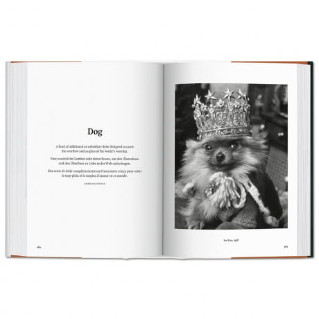 Książka o psach - The Dog In Photography