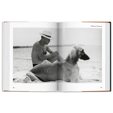 Książka o psach - The Dog In Photography
