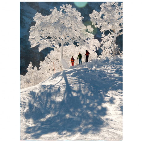 Książka o narciarstwie - The Ultimate Ski Book