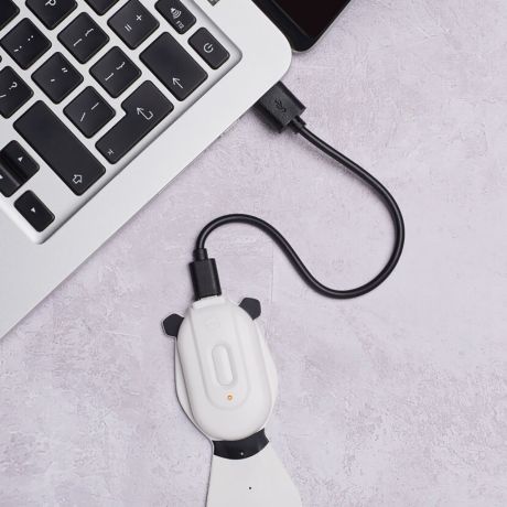 Zakadka do ksiki z lampk PANDA prezent dla dziecka prezent dla dziewczynki