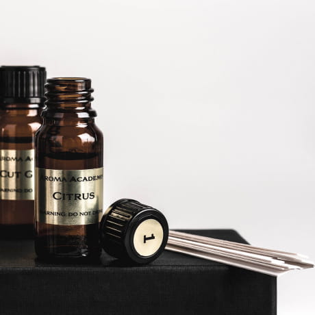 Zestaw aromatw whisky PREZENT DLA MIONIKA WHISKY 12 szt.