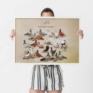 Duży plakat GOŁĘBIE dla miłośnika hodowania gołębi 