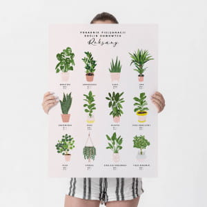 Duży plakat roślinny PORADNIK PIELĘGNACJI ROŚLIN