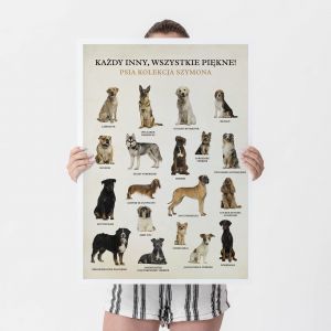 Plakat z psami PSIA KOLEKCJA