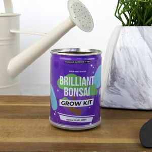 Drzewko bonsai GROW KIT - wyhoduj wasn rolin