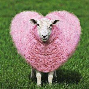 Kartka dla ukochanej osoby SHEEPHEART