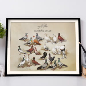Plakat GOŁĘBIE dla hodowcy gołębi