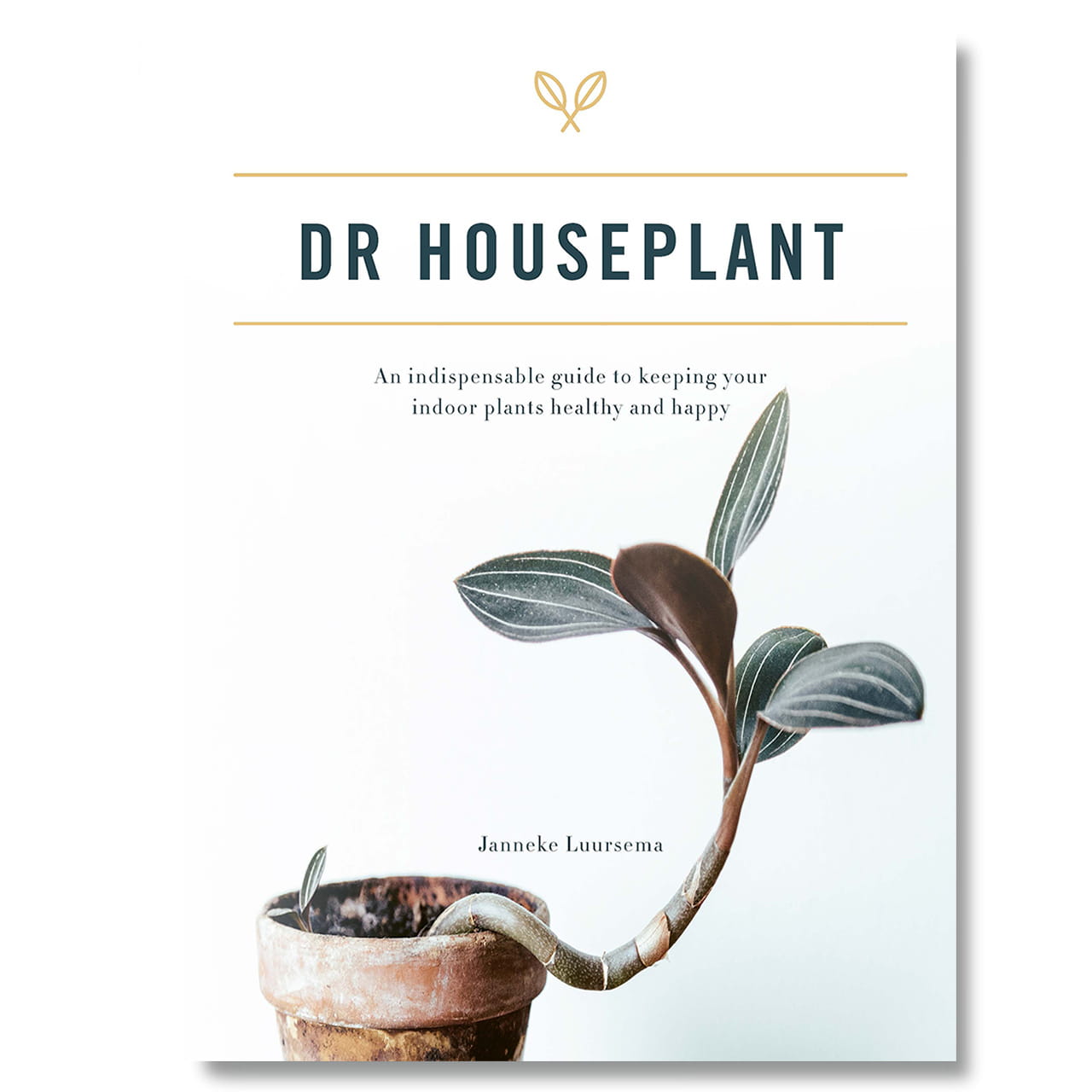 Książka o roślinach domowych - Dr. Houseplant