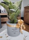 Zdjcie osoby, ktra kupia Doniczka na kwiaty z grawerem PERSONALIZOWANY PREZENT DLA PRZYJACIӣKI